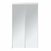Renin 48 in. x 80 1/2 in. Bypass Mirrored Closet Door BY0120BWCLE048080
